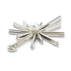 Aluminium Anhänger & Charms&nbsp;PALLOY-E580-05P