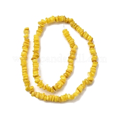 Perles de coquillages naturels d'eau douce&nbsp;SHEL-B003-01