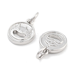 Charms in ottone&nbsp;KK-P271-29P