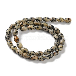 Dalmata naturale perline di diaspro fili&nbsp;G-I369-B03-01