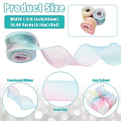 Ruban d'organza polyester&nbsp;SRIB-FZC0001-001A