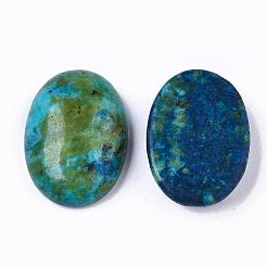 Cabochons de jaspe sésame naturel / jaspe kiwi&nbsp;X-G-T062-18