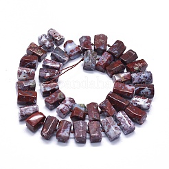 Fili di perline agata fulmine rosso naturale&nbsp;G-K293-J15-C
