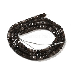 Natürliche silberglänzende Obsidian-Perlenstränge&nbsp;G-D467-A01