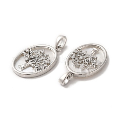 Pendentifs coquille en laiton&nbsp;KK-M243-34P