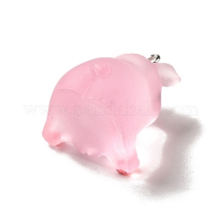 Pendentifs en résine translucide&nbsp;RESI-E031-01P-02