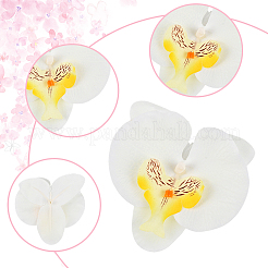 20 pieza de flor de phalaenopsis artificial de tela de seda&nbsp;AJEW-SP0003-55B