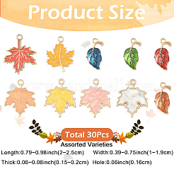 Pendenti in lega di zinco a tema autunno 30pcs 10 stili&nbsp;ENAM-YW0006-94