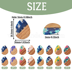16 pieza de 8 colores de resina y colgantes de nogal.&nbsp;RESI-TA0003-95