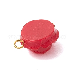 Colgantes de resina opaca&nbsp;PALLOY-JF02752-02