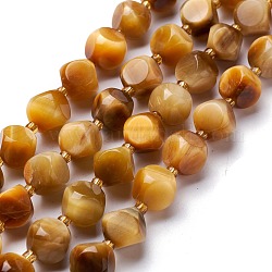 Naturel oeil de tigre perles brin, avec des perles de rocaille, dés célestes à six faces, 10~10.5x10~10.5x10~10.5mm, Trou: 0.5mm, Environ 32 pcs/chapelet, 15.94'' (40.5 cm)