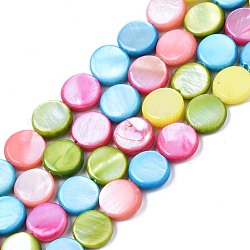 Shell perle d'acqua dolce fili, tinto, rotondo e piatto, colorato, 8x2.5~3.5mm, Foro: 0.8 mm, circa 50~51pcs/filo, 15.35 pollice ~ 15.75 pollici (39 cm ~ 40 cm)