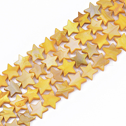 Freshwater Shell Beads Strands, Dyed, Star, Gold, 12x12.5x3mm, Hole: 1mm, about 35pcs/strand, 15.55 inch(39.5cm)