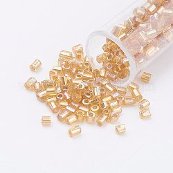 11/0 perles de rocaille en verre à deux trous ronds, hexagone, Argenté, arc-en-ciel plaqué, verge d'or, 2x2mm, trou: 0.5 mm, environ 41000 pièces / livre