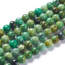 Fili di perle di variscite naturale, tondo, 6mm, Foro: 1 mm, circa 70pcs/filo, 15.94'' (40.5 cm)