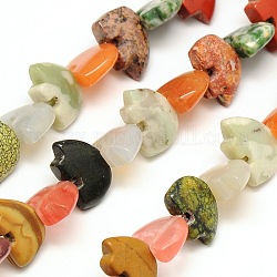 Natural & Synthetic Gemstone Beads Strands, White Bear, Mixed Stone, 10.5x14~15x6~7mm, Hole: 1mm, about 39pcs/strand, 14inch