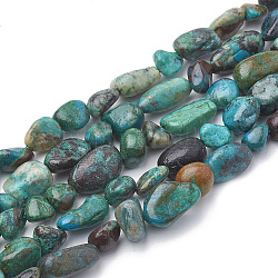 Chapelets de perles en chrysocolle naturelle, pierre roulée, pépites, 2~19x3~8x2~7mm, Trou: 1mm, Environ 50~55 pcs/chapelet, 15.55 pouce