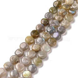 Chapelets de perles en labradorite naturelle , plat rond, 8~8.5x4.5~5mm, Trou: 0.8mm, Environ 49 pcs/chapelet, 15.75 pouce (40 cm)