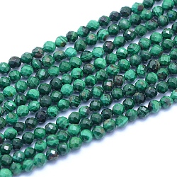 Natural Malachite Beads Strands, Faceted, Round, 3mm, Hole: 0.6mm, about 126pcs/strand, 14.96 inch(38cm)
