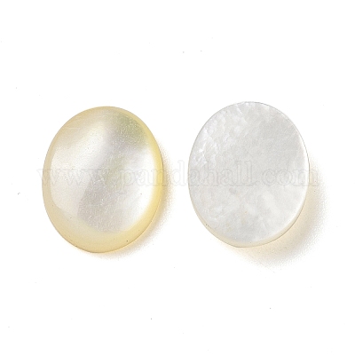 Cabochons shell amarillo naturales&nbsp;SSHEL-H068-03-1