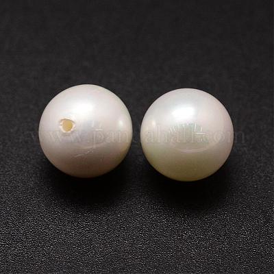 Shell-Perlen&nbsp;BSHE-L031-01-14mm-1