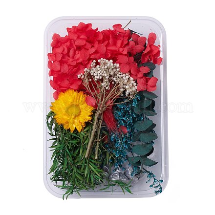 Сушеные цветы DIY-D052-21-1