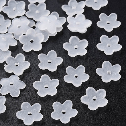 Perles en acrylique transparente MACR-S373-118-D01-1