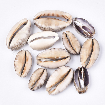 Perle di conchiglia di ciprea SSHEL-T008-26-1