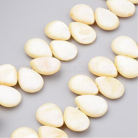 Chapelets de perles de coquillage naturel X-BSHE-P019-06-1