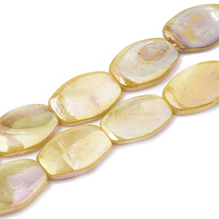 Fili di perline di conchiglia d'acqua dolce di colore ab SHEL-T009-04D-1