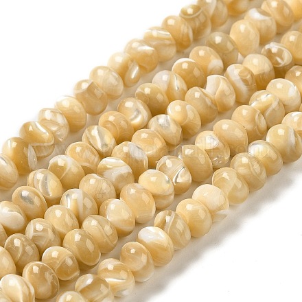 Brins de perles de coquillages naturels de troca SHEL-K006-25A-1