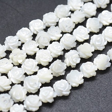 Natural White Shell Beads Strands SSHEL-P015-01A-12mm-1