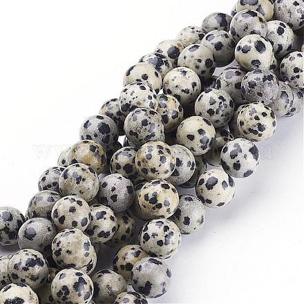 Natural Dalmatian Jasper Beads Strands GSR10mmC004-1