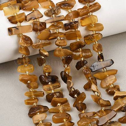 Naturbernsteinperlen Stränge G-P619-A02-01-1