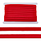 Polyester Ribbon, Underwear Accessories, Red, 3/8 inch(10mm), about 27.34 Yards(25m)/Set