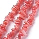 Eau douce naturelle de coquillage perles brins BSHE-I016-01-4