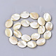 Chapelets de perles de coquille de trochid / trochus coquille SHEL-T013-006A-01-2