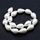 Electroplate Shell Pearl Beads Strands BSHE-G010-10x13mm-01-2