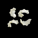 Puces brins de perles de coquillage naturel SSHEL-F290-30-4