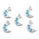 304 Stainless Steel Charms STAS-N098-153P-2