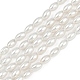 Fili di perle di conchiglie galvanizzate&nbsp;BSHE-Z009-10B-2