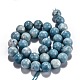 Natural Gemstone Beads Strands G-L367-01-6mm-6