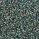 MIYUKI Delica Beads SEED-J020-DB2379-3