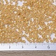 Perles rocailles miyuki rondes X-SEED-G007-RR0677-4