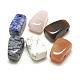 Ciondoli di pietre preziose misti naturali e sintetici G-S294-21B-1