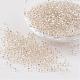 8/0 Glass Seed Beads X-SEED-A005-3mm-21-1