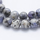 Natural Larvikite Beads Strands G-E443-A11-3