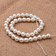 Polished Round Grade A Shell Pearl Bead Strands BSHE-M027-16mm-28-2