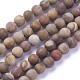Chapelets de perles en bois pétrifié naturel G-P430-04-B-2