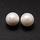 Shell Pearl Beads BSHE-L031-01-14mm-2